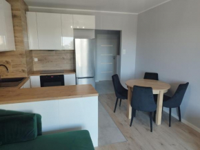 Apartament MOJA MŁYNOWA